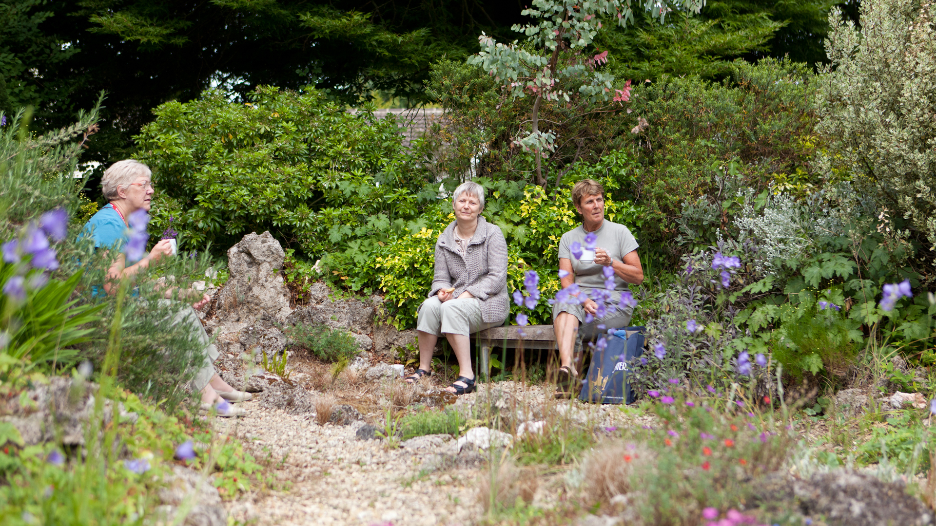 undefinedthree amateur musicians sitting outside in the Benslow rockery drinking tea