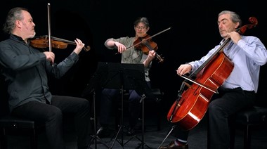 Friday 19 May: Bingham String Trio