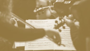 Partners in Crime: What are the challenges, the joys and technical details of sharing a desk in a professional orchestra?